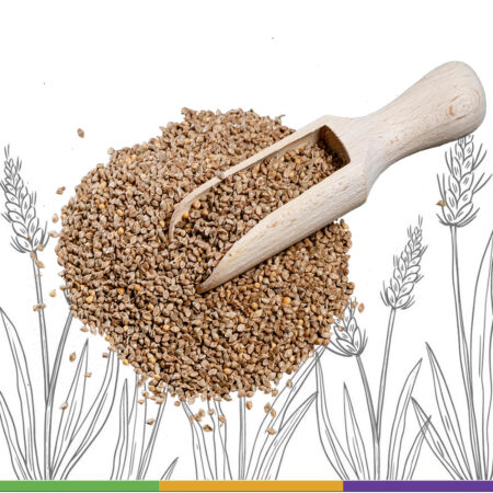 Barnyard millet