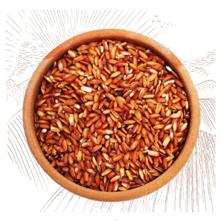 Red puttu rice
