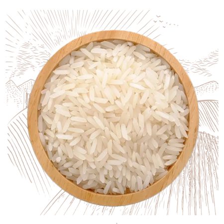 Salem Sanna Rice exporte