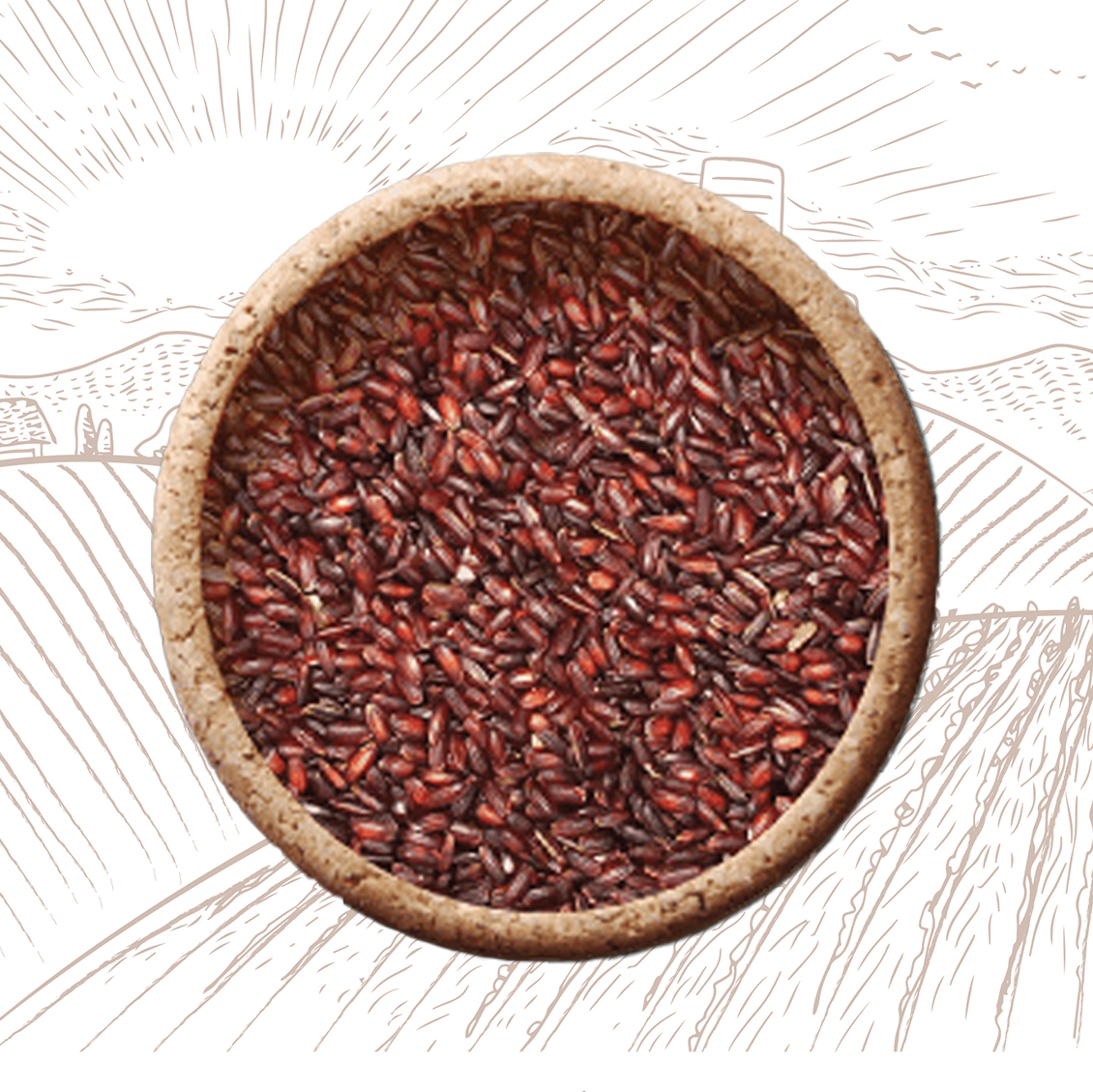 Buy -Karunkuruvai Rice online