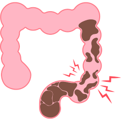 Barnyard Sweet Pops - Delicious treats for constipation relief.