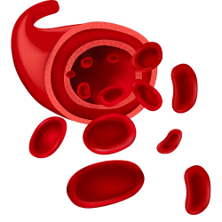 Healthy blood flow for overall well-being