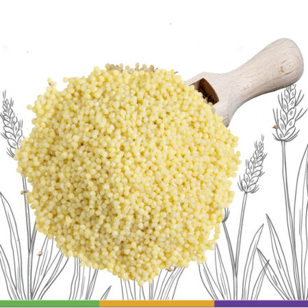 Thinai millet