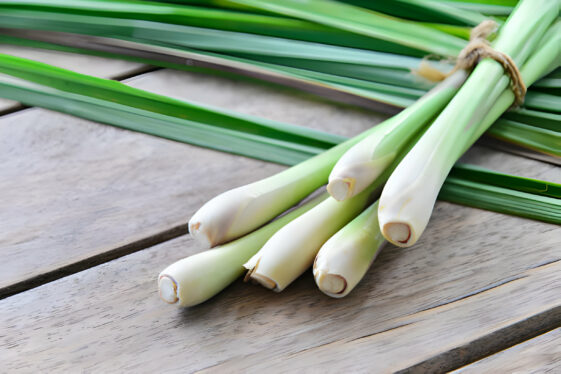 lemon grass oil