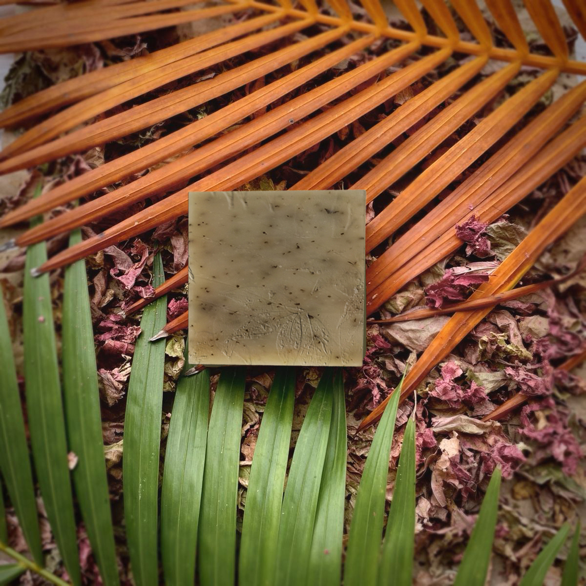 buy beetroot soap carrot soap