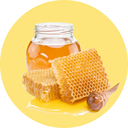 Buy Honey Online Wholesale India
