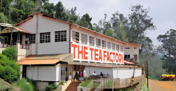 https://standardcoldpressedoil.com/wp-content/uploads/2024/01/ooty-tea-estate-tea-factory.png