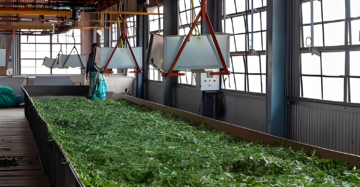 ooty-tea-factory-leaves-processing