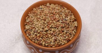 premium-horsegram-packaging