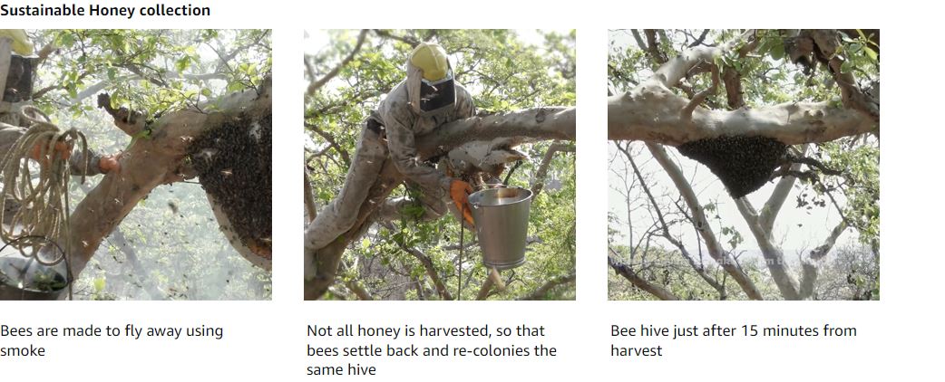 Honey price