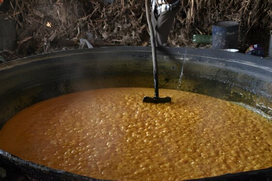 jaggery powder